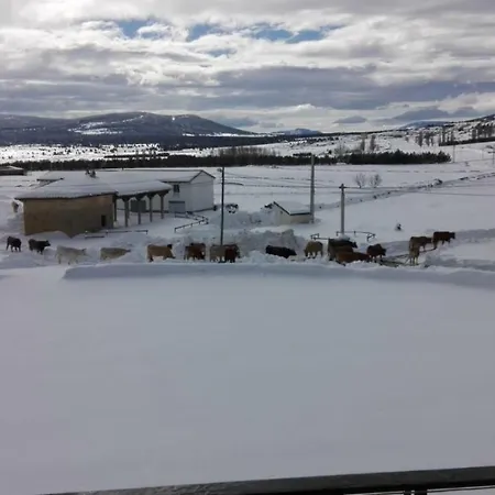 Maria Jesus בית כפרי מוסקרואלה