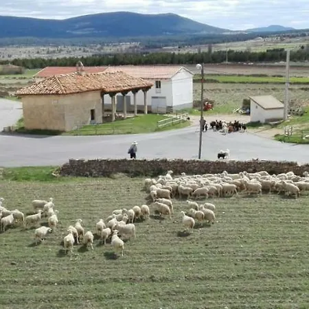 Maria Jesus מוסקרואלה