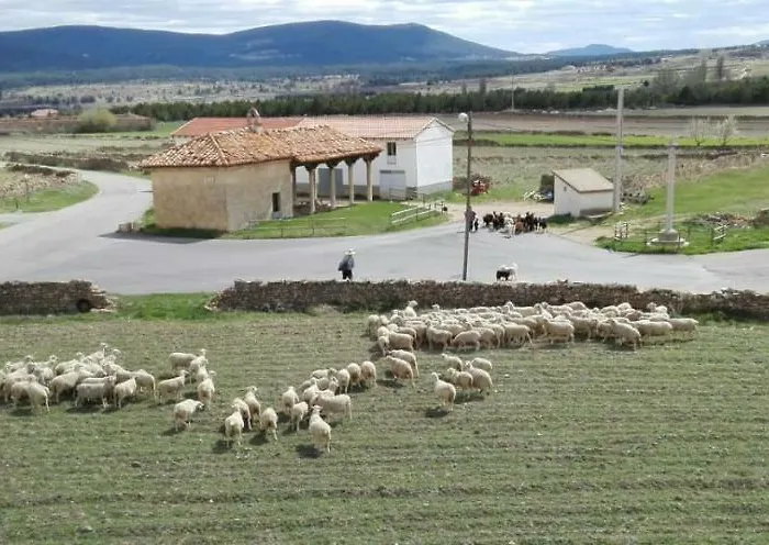 Maria Jesus Mosqueruela